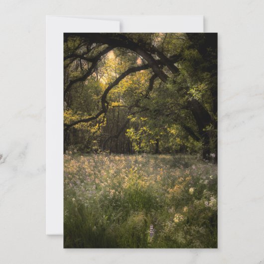 Rustikale, blumengeschmückte Waldbaumfeder Einladung (Rückseite)