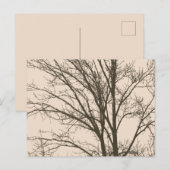 Rustikale Braunbaumzweige Postkarte (Vorne/Hinten)