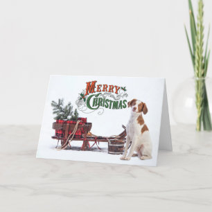 Rustikale Bretagne Spaniel Weihnachten