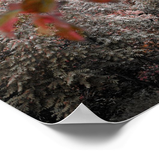 Rustikale Brücke mit wunderschönem Foto der Baumla Poster (Ecke)