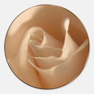 Rustikale Creme Rose Hochzeit Umschlag Aufkleber