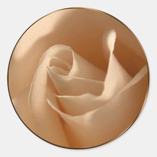 Rustikale Creme Rose Hochzeit Umschlag Aufkleber (Vorderseite)