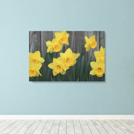 Rustikale Daffodische Blume Gartenzaun Foto Leinwanddruck (Insitu (Holzboden))