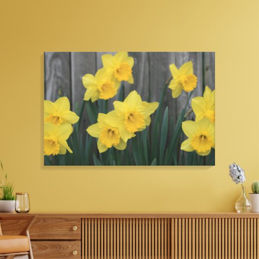 Rustikale Daffodische Blume Gartenzaun Foto Leinwanddruck (Insitu (Wohnzimmer))