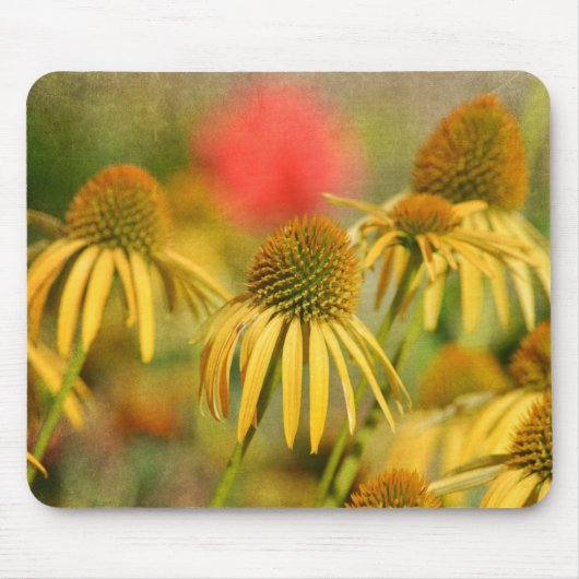 Rustikale Echinacea-Blume Mousepad (Vorne)