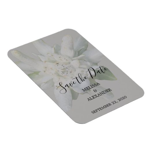 Rustikale Edelweiss Blume Hochzeit Sichern Sie das Magnet (Rechte Seite)