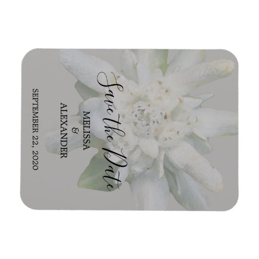 Rustikale Edelweiss Blume Hochzeit Sichern Sie das Magnet (Horizontal)