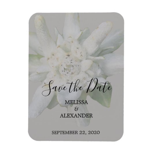 Rustikale Edelweiss Blume Hochzeit Sichern Sie das Magnet (Vertikal)