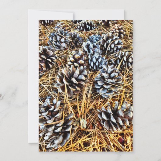 Rustikale Einladung (Rückseite)