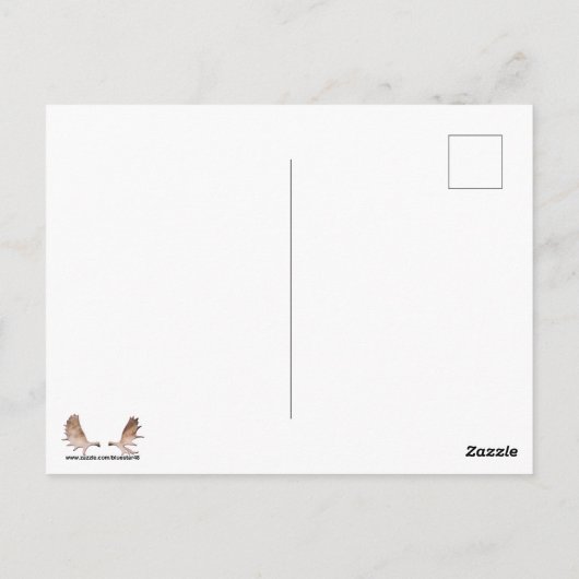 Rustikale Forelle Postkarte (Rückseite)