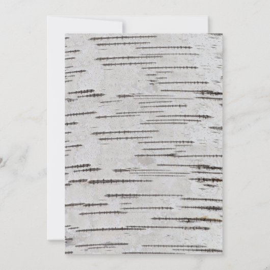 Rustikale Geburtstagskünstlerpartei Einladung (Rückseite)