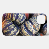 Rustikale gestreifte Kürbisse Case-Mate iPhone Hülle (Rückseite (Horizontal))