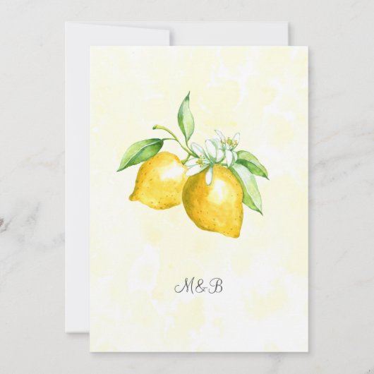 Rustikale Gold Wreath Lemon Summer Engagement Part Einladung (Rückseite)