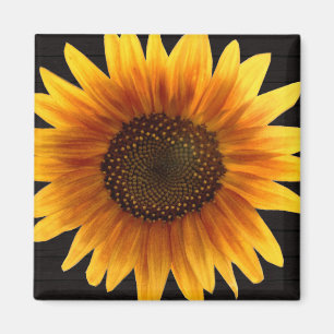 Rustikale Herbst-Sonnenblume Magnet
