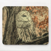 Rustikale Herbstblätter aus Eichenwald Mousepad (Vorne)
