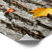 Rustikale Herbstblätter in Herbstfarben Baumrinde Poster (Ecke)