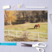 Rustikale Herbstdekoupage Seidenpapier (Handwerk)