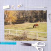 Rustikale Herbstdekoupage Seidenpapier (Handwerk)