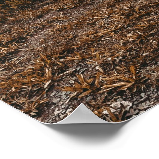 Rustikale Herbstkanone // Dunkelgrau Poster (Ecke)