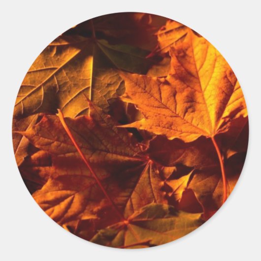 Rustikale Herbstlaub Hochzeit Einladung maßgeschne Runder Aufkleber (Vorderseite)