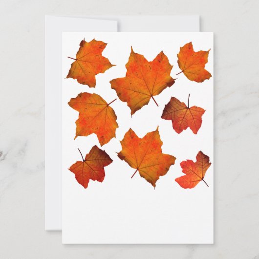 Rustikale Herbstleaf Burnt Orange Maple White Wedd Einladung (Rückseite)