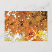 Rustikale Herbstlichter Hochzeitstraßen Begleitkarte (Rückseite)