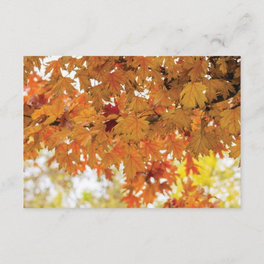 Rustikale Herbstlichter Hochzeitstraßen Begleitkarte (Rückseite)