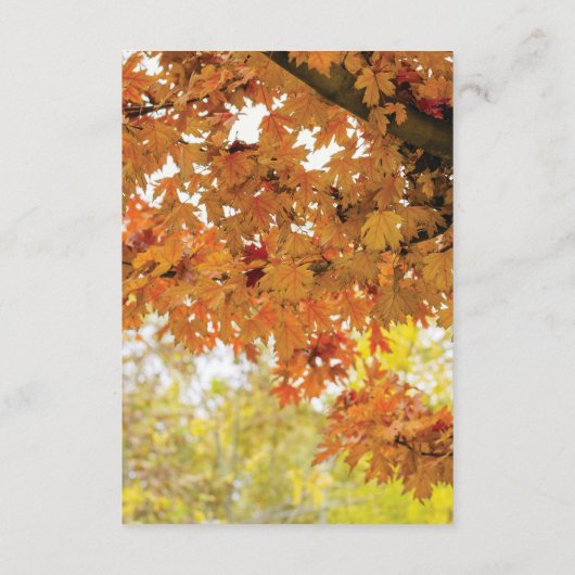 Rustikale Herbstlichtung Begleitkarte (Rückseite)