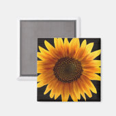 Rustikale Herbstsonne Magnet (Vorderseite/Rückseite)