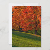 Rustikale Hochzeit im Herbst Einladungsfarben Einladung (Rückseite)