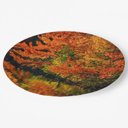 Rustikale Hochzeit im Herbst Farben Herbstreflekti Pappteller (Schrägansicht)