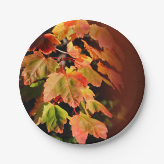 Rustikale Hochzeit im Herbst Herbst Foto Blätter Pappteller
