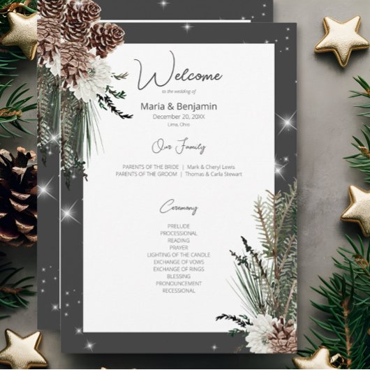 Rustikale Holzkohle Schwarzer Pine Winter Sparkle Programm