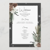 Rustikale Holzkohle Schwarzer Pine Winter Sparkle Programm (Vorderseite)