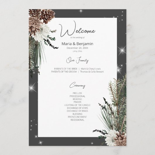 Rustikale Holzkohle Schwarzer Pine Winter Sparkle  Programm (Vorderseite)