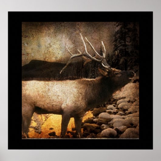 Rustikale Hütte Hütte Wald Bergbulle Elch Poster (Vorne)