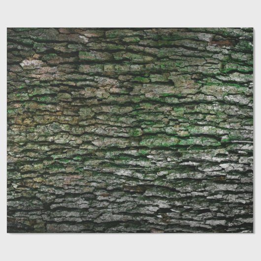 Rustikale Imitate Holzkörnbaum Bark Moss Geschenkpapier (Flach)