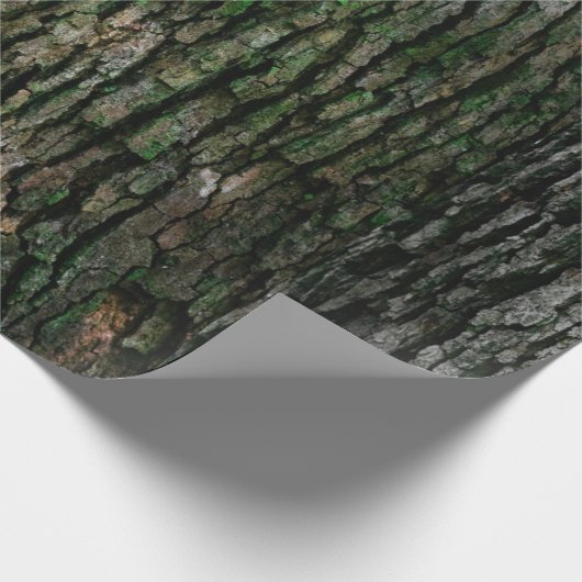 Rustikale Imitate Holzkörnbaum Bark Moss Geschenkpapier (Ecke)