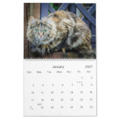 Rustikale Katzen & Kätzchen Kalender HAMbyWG (Jan 2027)