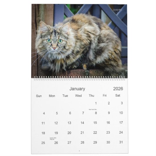 Rustikale Katzen & Kätzchen Kalender HAMbyWG (Jan 2026)