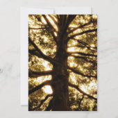 Rustikale Land-Eichen-Hochzeits-Einladungen Einladung (Rückseite)