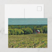 Rustikale Landschaft mit Stall und Weinberg Postkarte (Vorne/Hinten)