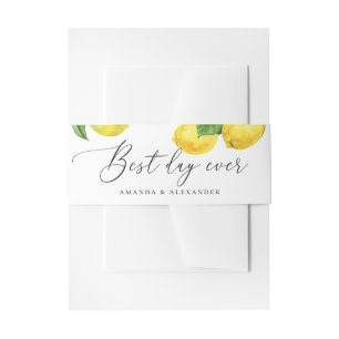 Rustikale Lemon Grove Wedding   Wasserfarbenzitrus Einladungsbanderole