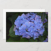 Rustikale Lila Hydrangea makrophylla Einladung (Vorne/Hinten)