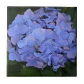 Rustikale Lila Hydrangea makrophylla Fliese (Vorderseite)
