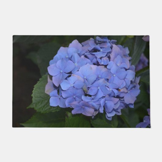 Rustikale Lila Hydrangea makrophylla Fußmatte (Vorderseite)