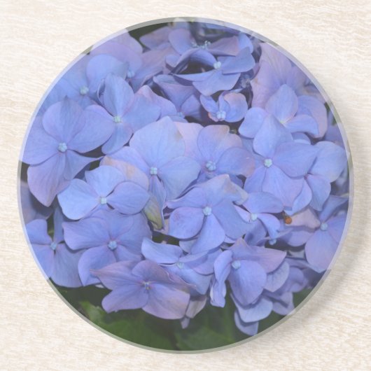 Rustikale Lila Hydrangea makrophylla Getränkeuntersetzer (Vorne)