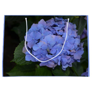 Rustikale Lila Hydrangea makrophylla Große Geschenktüte