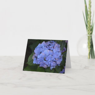 Rustikale Lila Hydrangea makrophylla Karte