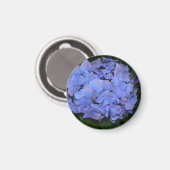 Rustikale Lila Hydrangea makrophylla Magnet (Vorderseite/Rückseite)